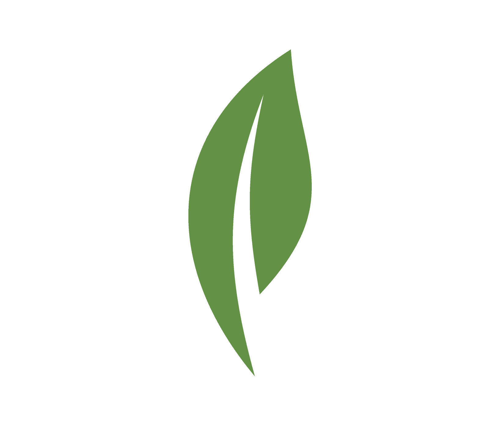Leaf Ornament
